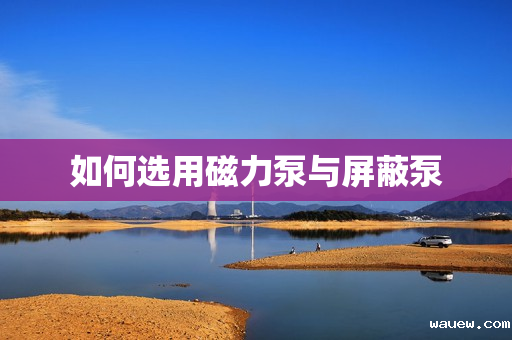 如何选用磁力泵与屏蔽泵 如何选用磁力泵与屏蔽泵