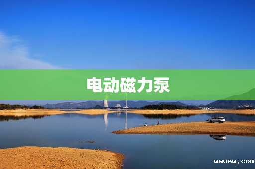 电动磁力泵 电动磁力泵