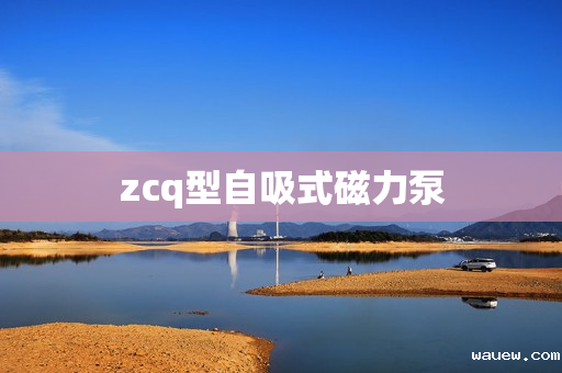 zcq型自吸式磁力泵 zcq型自吸式磁力泵