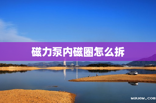 磁力泵内磁圈怎么拆 磁力泵内磁圈怎么拆