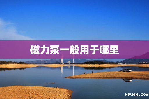 磁力泵一般用于哪里 磁力泵一般用于哪里