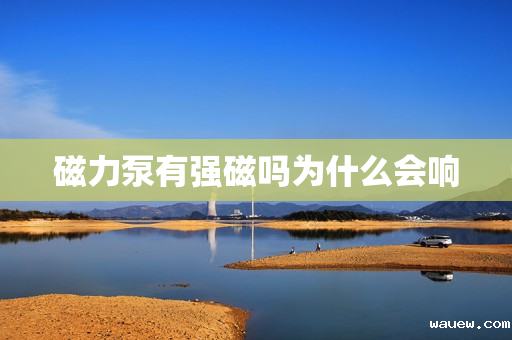 磁力泵有强磁吗为什么会响 磁力泵有强磁吗为什么会响