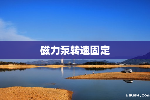 磁力泵转速固定 磁力泵转速固定