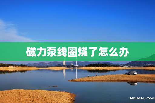 磁力泵线圈烧了怎么办 磁力泵线圈烧了怎么办