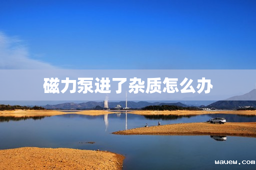 磁力泵进了杂质怎么办 磁力泵进了杂质怎么办