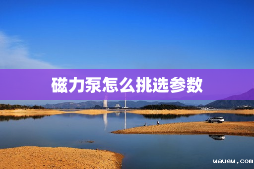 磁力泵怎么挑选参数 磁力泵怎么挑选参数