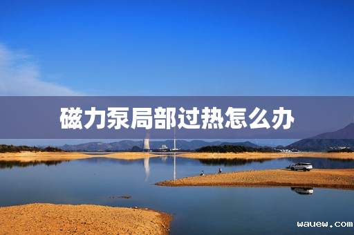 磁力泵局部过热怎么办 磁力泵局部过热怎么办