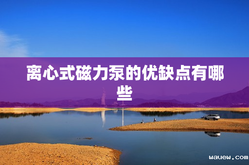 离心式磁力泵的优缺点有哪些 离心式磁力泵的优缺点有哪些