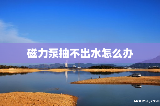 磁力泵抽不出水怎么办 磁力泵抽不出水怎么办