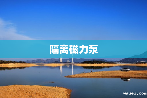 隔离磁力泵 隔离磁力泵