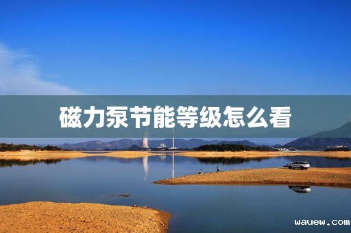 磁力泵节能等级怎么看 磁力泵节能等级怎么看