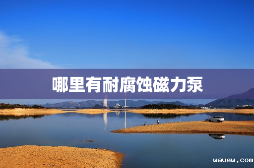 哪里有耐腐蚀磁力泵 哪里有耐腐蚀磁力泵