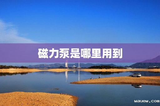 磁力泵是哪里用到 磁力泵是哪里用到