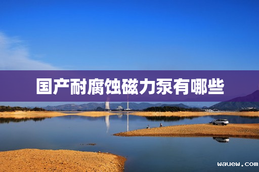 国产耐腐蚀磁力泵有哪些 国产耐腐蚀磁力泵有哪些