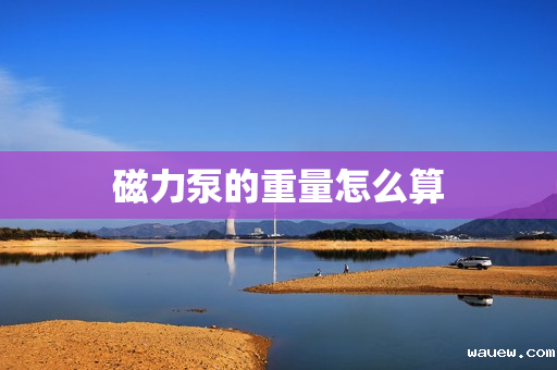 磁力泵的重量怎么算 磁力泵的重量怎么算