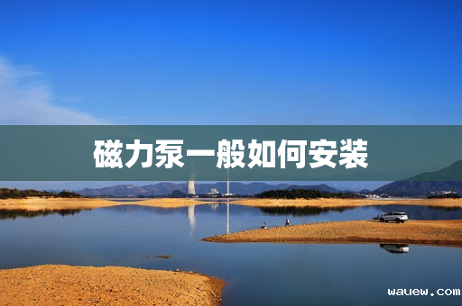 磁力泵一般如何安装 磁力泵一般如何安装