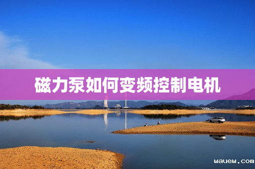 磁力泵如何变频控制电机 磁力泵如何变频控制电机