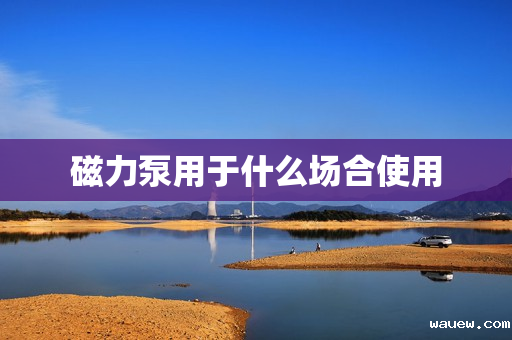 磁力泵用于什么场合使用 磁力泵用于什么场合使用