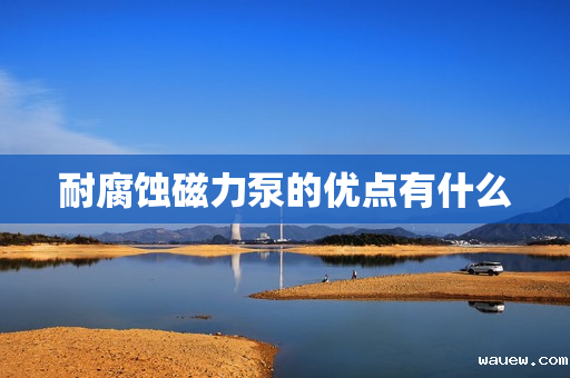 耐腐蚀磁力泵的优点有什么 耐腐蚀磁力泵的优点有什么