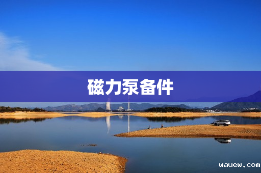 磁力泵备件 磁力泵备件