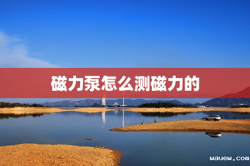 磁力泵怎么测磁力的 磁力泵怎么测磁力的