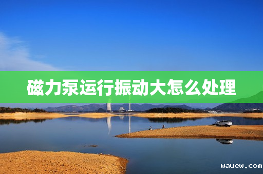 磁力泵运行振动大怎么处理 磁力泵运行振动大怎么处理