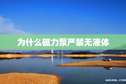 为什么磁力泵严禁无液体 为什么磁力泵严禁无液体