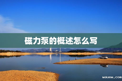 磁力泵的概述怎么写 磁力泵的概述怎么写