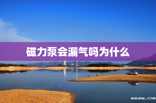 磁力泵会漏气吗为什么 磁力泵会漏气吗为什么