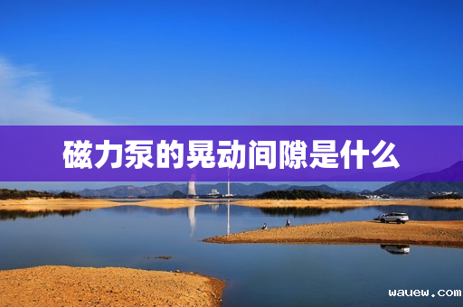 磁力泵的晃动间隙是什么 磁力泵的晃动间隙是什么