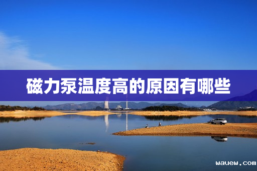 磁力泵温度高的原因有哪些 磁力泵温度高的原因有哪些