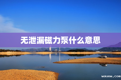 无泄漏磁力泵什么意思 无泄漏磁力泵什么意思