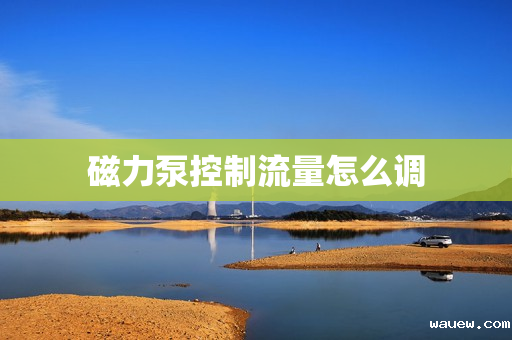 磁力泵控制流量怎么调 磁力泵控制流量怎么调