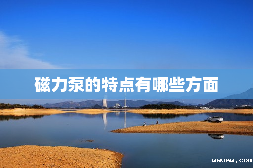 磁力泵的特点有哪些方面 磁力泵的特点有哪些方面