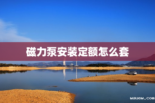 磁力泵安装定额怎么套 磁力泵安装定额怎么套