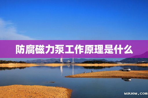 防腐磁力泵工作原理是什么 防腐磁力泵工作原理是什么