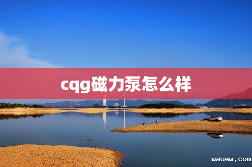 cqg磁力泵怎么样 cqg磁力泵怎么样