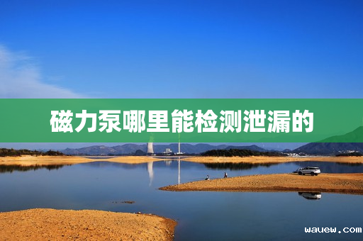 磁力泵哪里能检测泄漏的 磁力泵哪里能检测泄漏的