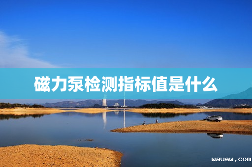 磁力泵检测指标值是什么 磁力泵检测指标值是什么