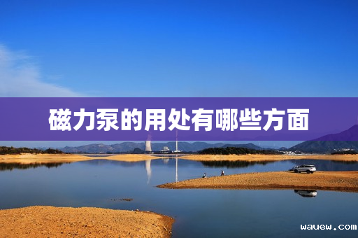 磁力泵的用处有哪些方面 磁力泵的用处有哪些方面