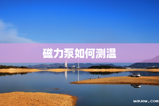 磁力泵如何测温 磁力泵如何测温