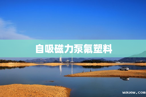 自吸磁力泵氟塑料 自吸磁力泵氟塑料