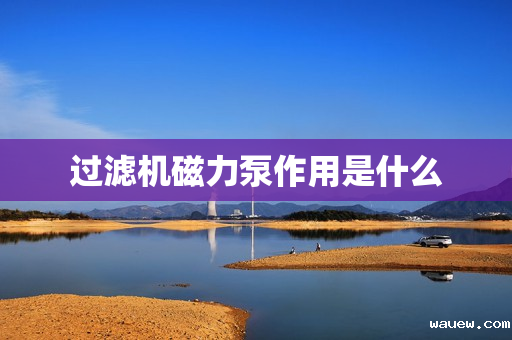 过滤机磁力泵作用是什么 过滤机磁力泵作用是什么