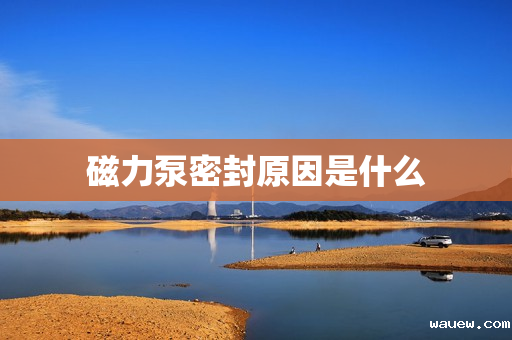 磁力泵密封原因是什么 磁力泵密封原因是什么