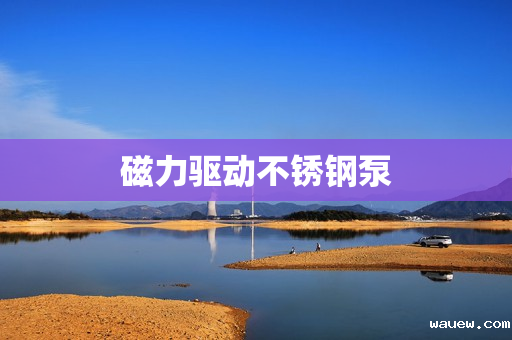 磁力驱动不锈钢泵 磁力驱动不锈钢泵