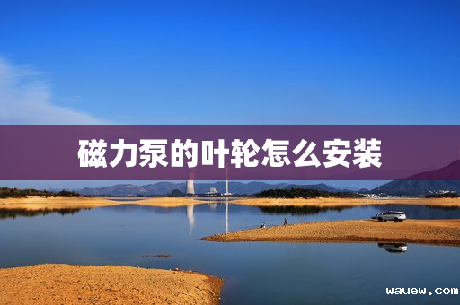 磁力泵的叶轮怎么安装 磁力泵的叶轮怎么安装