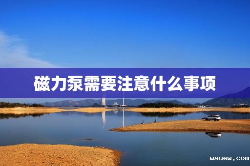 磁力泵需要注意什么事项 磁力泵需要注意什么事项