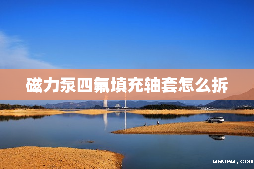 磁力泵四氟填充轴套怎么拆 磁力泵四氟填充轴套怎么拆