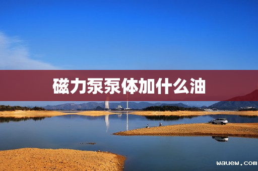 磁力泵泵体加什么油 磁力泵泵体加什么油