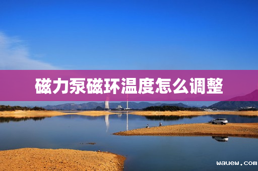 磁力泵磁环温度怎么调整 磁力泵磁环温度怎么调整